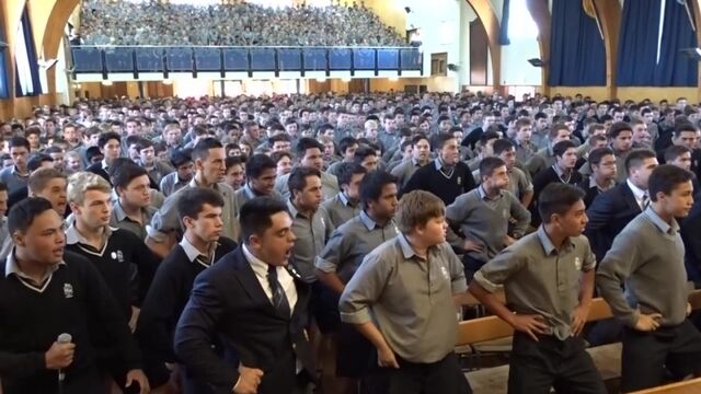 Танец хака. Не пугайтесь! Это старинный ритуал в знак уважения в Новой Зеландии!