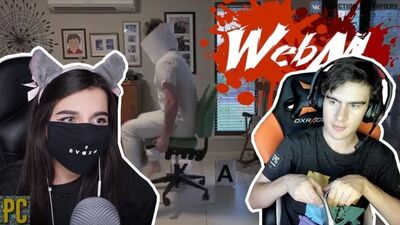 [Реакции Братишкина] Братишкин и Tenderlybae смотрят: Dank WebM Compilation #75