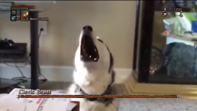 Bloodborne - Cleric Beast Husky - Extended Edition