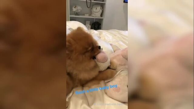 Madison Beer ~ Tracie Beer via instagram story