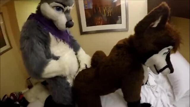 Gay Furry Dreams 24