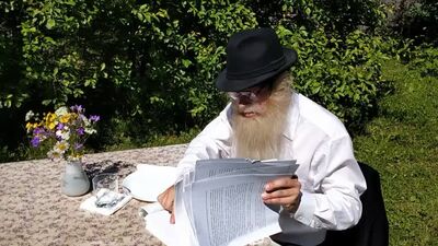 Дед Архимед-Поправки в Конституцию 2020. В чём смысл? Вся их суть в песне