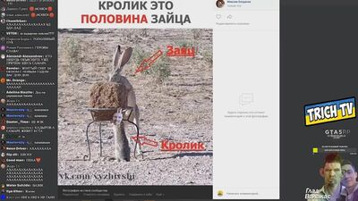 [Trich Tv] [Обзор фотолупов] Глад Валакас показал своё реальное фото