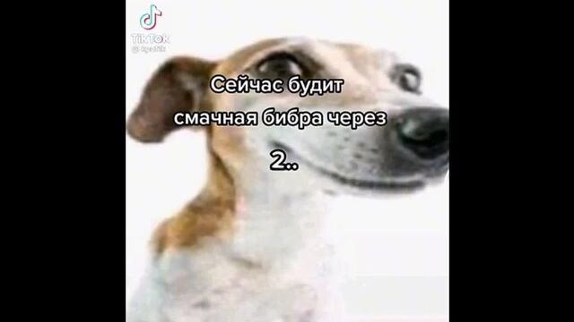 Смачная бебра