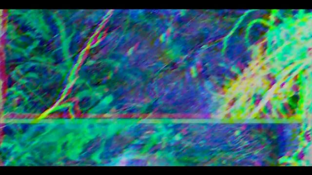 [Binet Senn] ДИСС НА МАРИ СЕНН И XOLIFE