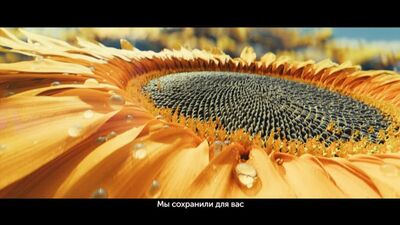 Семечки "Джинн" - поделитесь с вашими близкими