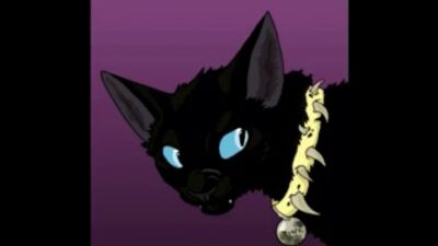 Коты Воители Бич