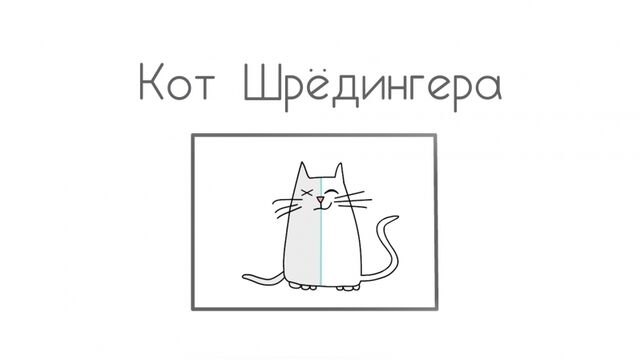Кот Шрёдингера: мысленный эксперимент квантовой механики [TED-Ed]