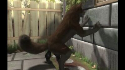 H0rs3 dog