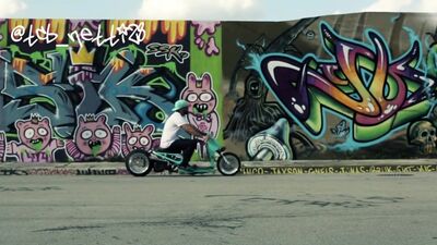 DORBYWORKS custom Honda Ruckus Minty