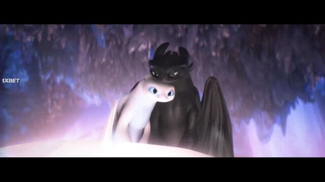 Toothless x Light Fury