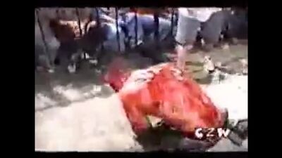 John Zandig vs The Wifebeater (I Quit death match)
