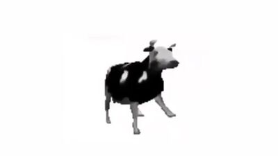 Polish cow - живые обои на пк