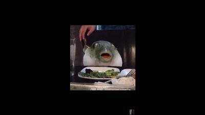 Puffer Fish meme