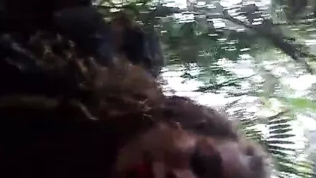 Baise dans les bois