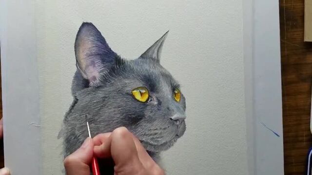 Акварель. Рисуем кошку