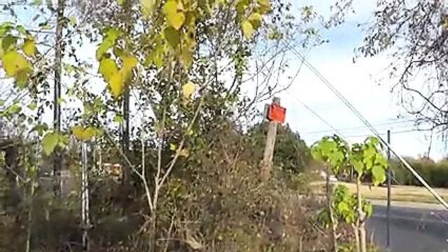 Handjob & Blowjob From Stranger On Bike Ride