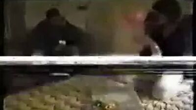 Муженек дарит жене группу черных на день рождения! представь себе XXXMAS! читай рейтинг, комментируй!
