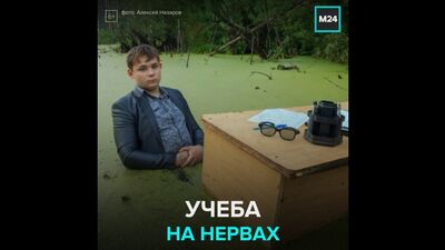 Домашнее обучение в регионах превратилось в домашнее разгильдяйство — Москва 24