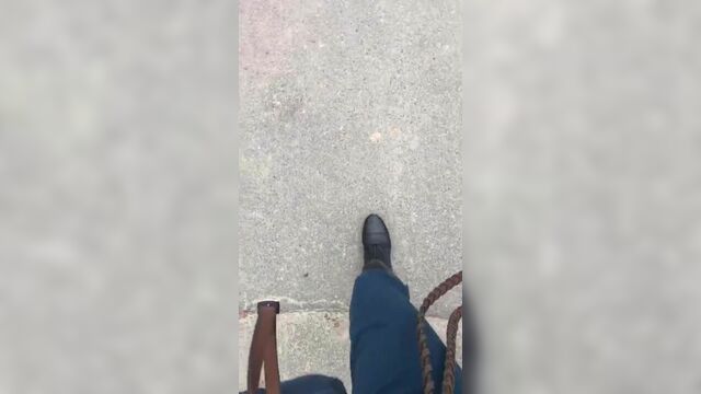Конный спорт показывает сексуальные сапоги и красивую лошадь