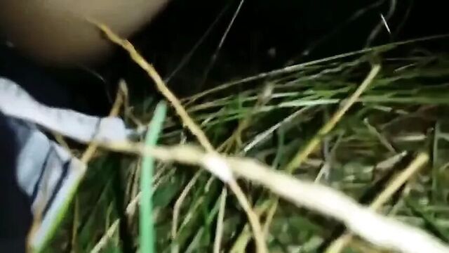 Mate и я дали жене два порции спермы на улице