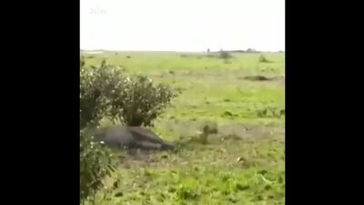 Карточный долг это святое