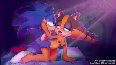 Furry yiff sonic