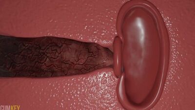 3D Monster DoA Nyatengu Busty-slut-in-knot-trouble-vote-winners-huge-knot-dick_1080p Dead or Alive hentai rule 34 porn video mul