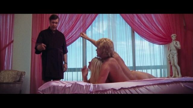 Debra A. Estok Nude - Magnum Force (1973)