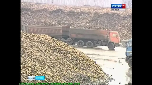 Добринский сахарный завод в Плавице рекордно убирает свеклу с полей