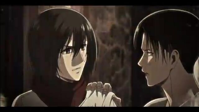 Levi x mikasa ackermans vine edit