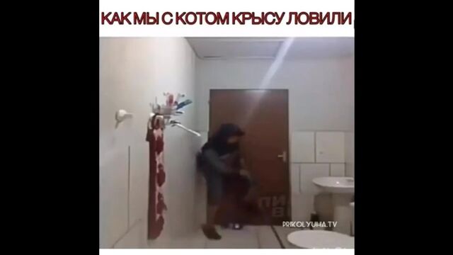Как мы с котом крысу ловили