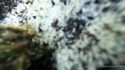 Channelone ХХХ ОнлиФанс