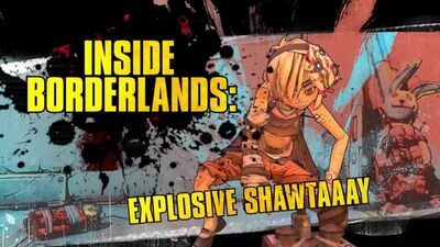 Inside Borderlands: Tiny Tina