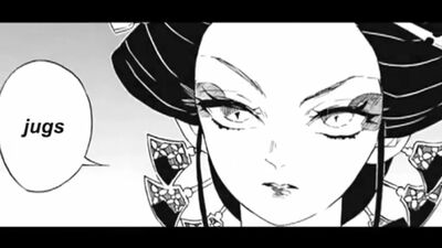 ▹ kimetsu no yaiba; daki