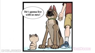 Pixie and Brutus - часть 1 (1)