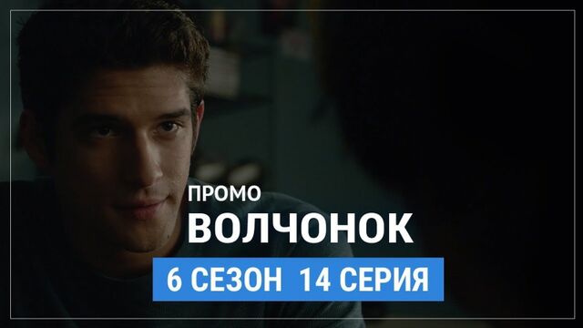 Волчонок 6 сезон 14 серия Русское промо