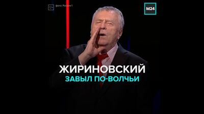 Жириновский завыл по-волчьи — Москва 24