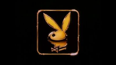 Playboy Video Playmate Calendar (1991)