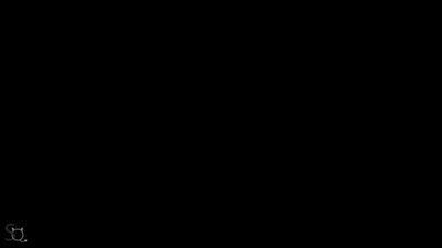 BergyQ