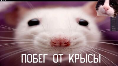 Roblox Пытаюсь украсть сыр как крыса