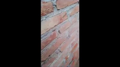 Pakistani Leaks .mp4