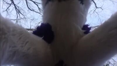 Fursuit yiff #1