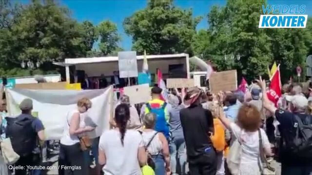 Wieso ist dieser Mann ein MINISTER - Alice Weidel - AfD - Alice Weidel