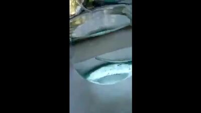 Юный казахский изобретатель
