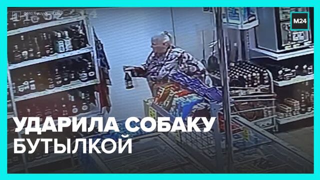 Бабушка едва не убила собаку бутылкой – Москва 24