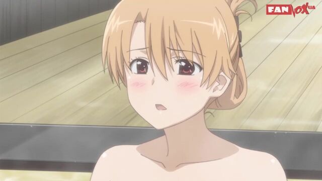 [FanVoxUA] Поцілунок сестер ОВА / Kiss-x-sis OVA (серія 10) [Surgeon&MariAm]