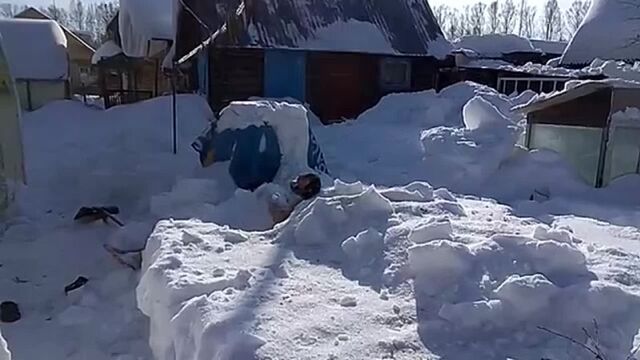 Купание в снегу голым