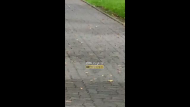 Онанист на велосипеде
