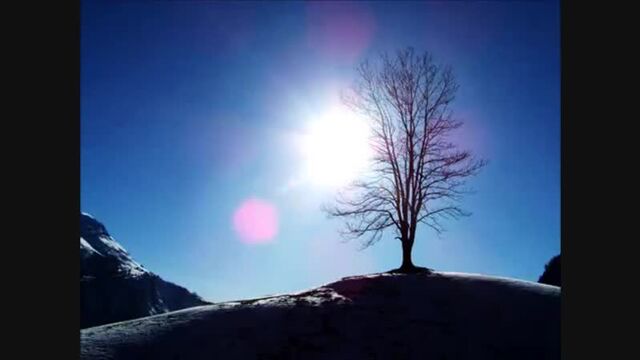 Danny Wright - Canon in D - Black and White(360P).mp4